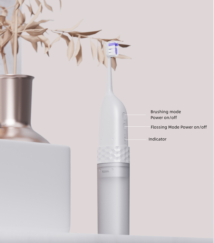 Electric Toothbrush Manufacturer